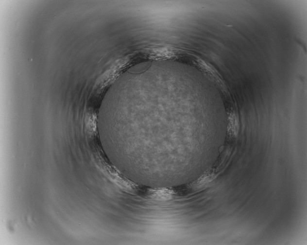 X0000102220621200808011204