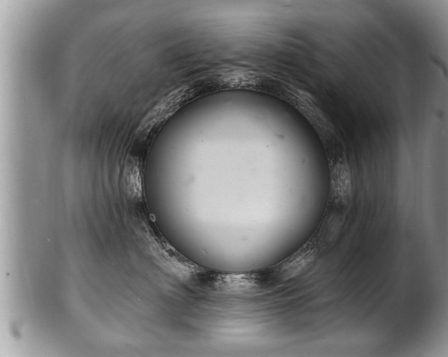 X0000102220622200808011204