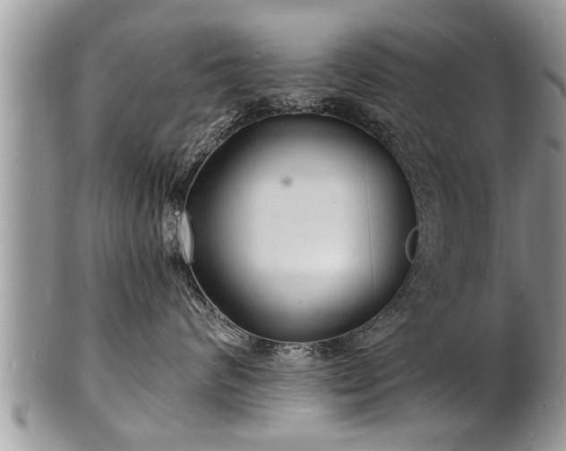 X0000102220624200808011204