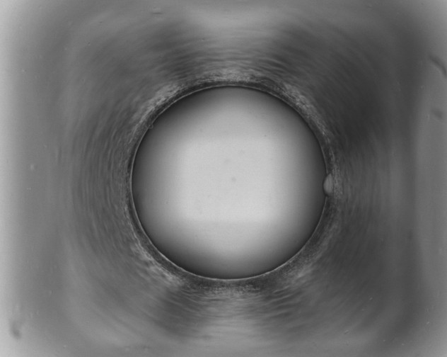 X0000102220625200808011203