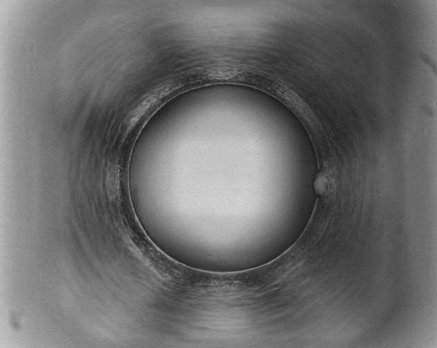 X0000102220626200808011203