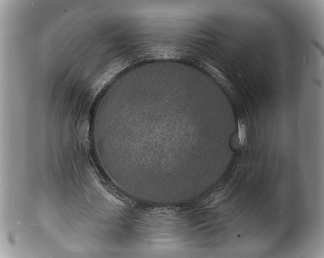 X0000102220627200808011203