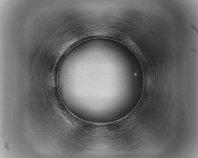 X0000102220628200808011203