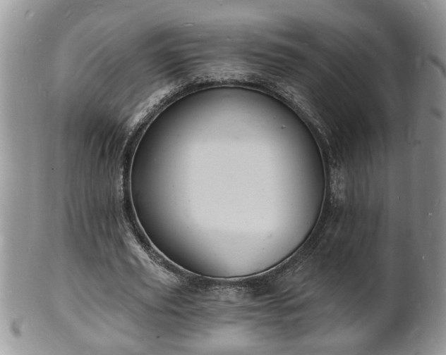 X0000102220629200808011203