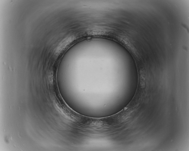 X0000102220631200808011203