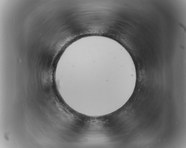 X0000102220632200808011203