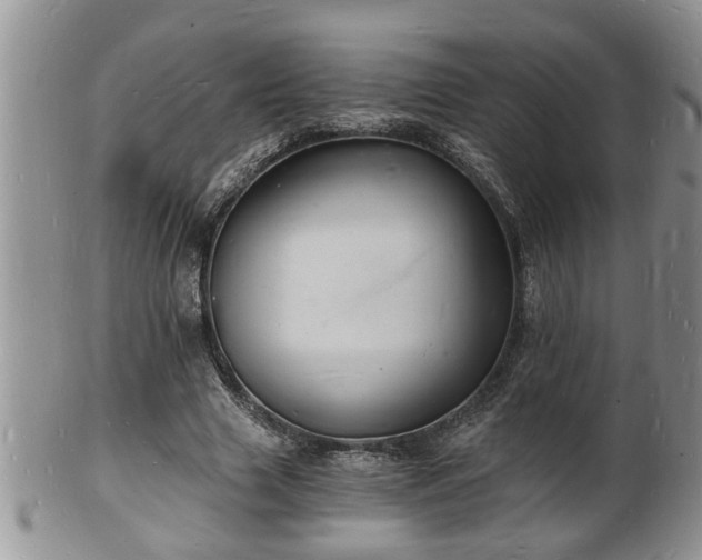 X0000102220633200808011203