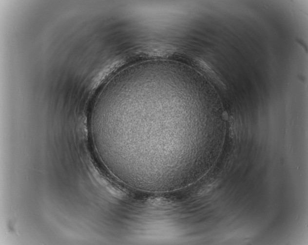 X0000102220634200808011203