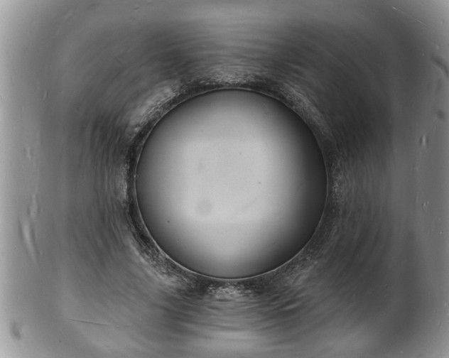 X0000102220635200808011203