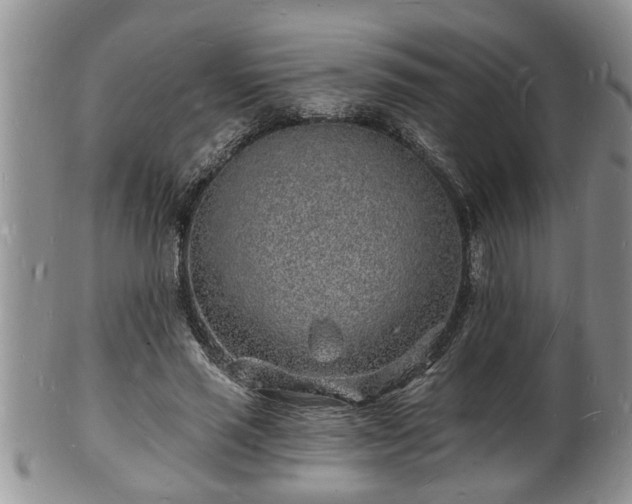 X0000102220637200808011203