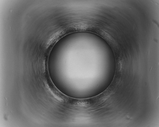 X0000102220638200808011203