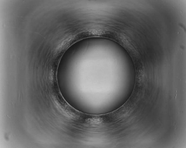 X0000102220639200808011203