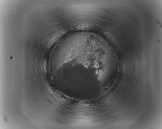 X0000102220640200808011203