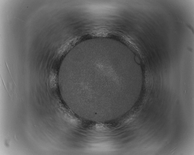 X0000102220641200808011203