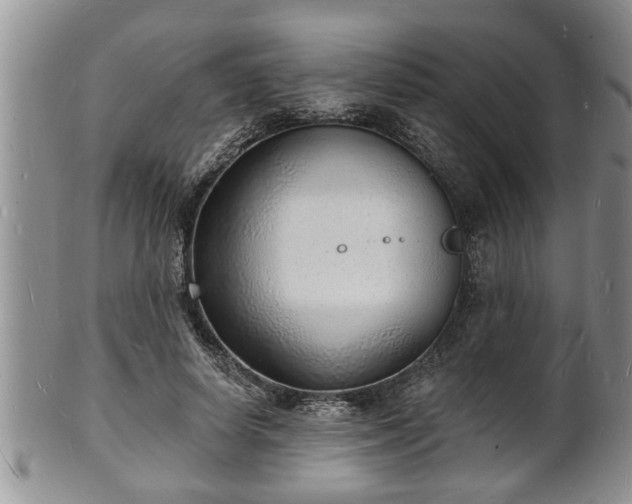 X0000102220642200808011203