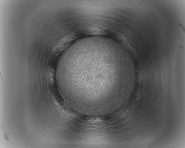 X0000102220643200808011203