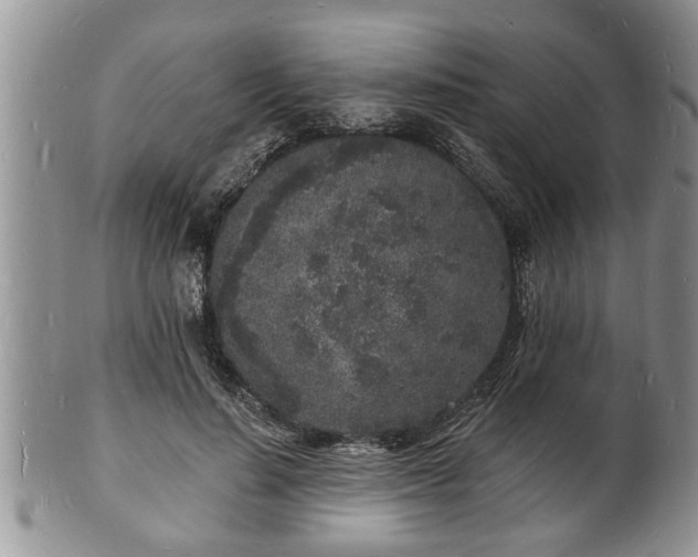 X0000102220644200808011203