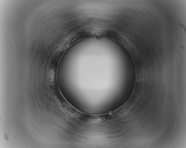 X0000102220646200808011203