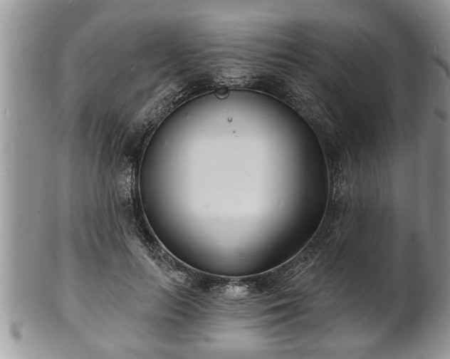 X0000102220647200808011203