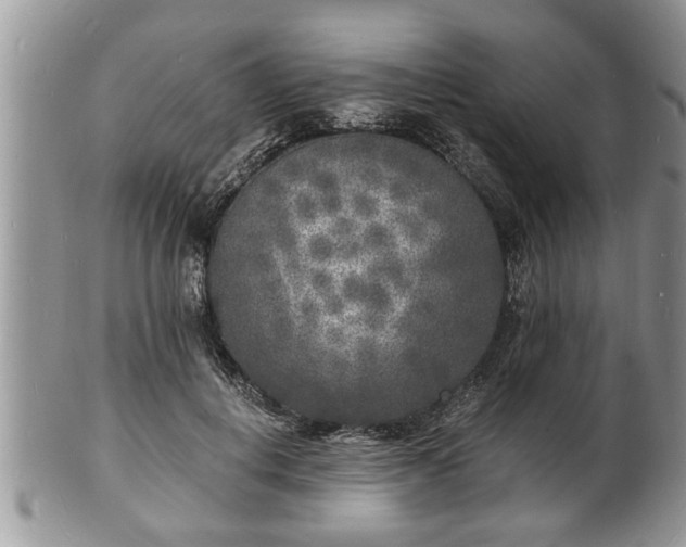 X0000102220648200808011203