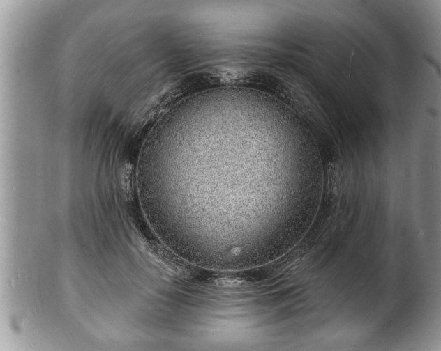 X0000102220650200808011203