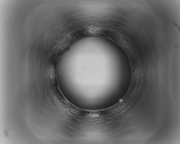 X0000102220651200808011203