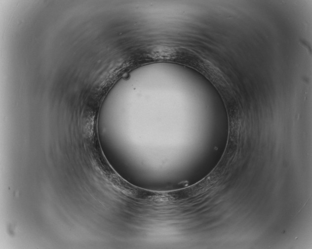 X0000102220652200808011203