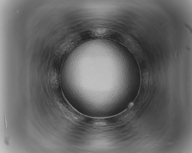 X0000102220653200808011203