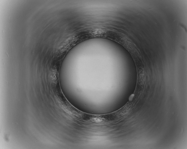 X0000102220654200808011203