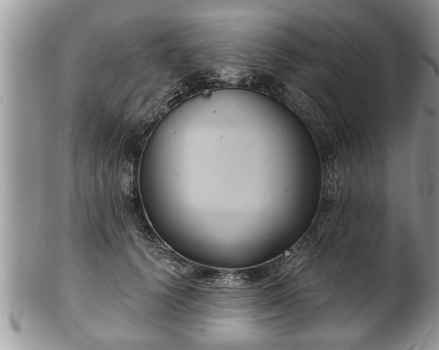 X0000102220656200808011203