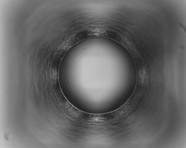 X0000102220657200808011203