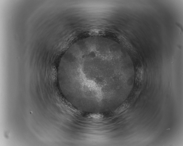 X0000102220659200808011203