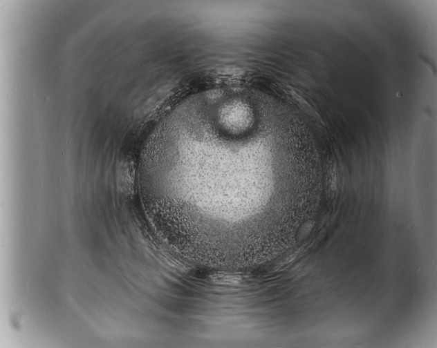 X0000102220661200808011203