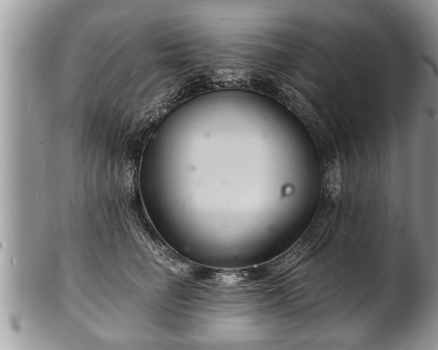 X0000102220662200808011203