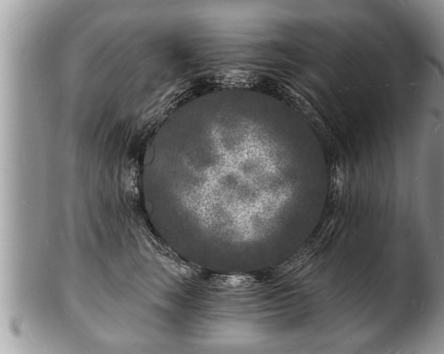 X0000102220663200808011203