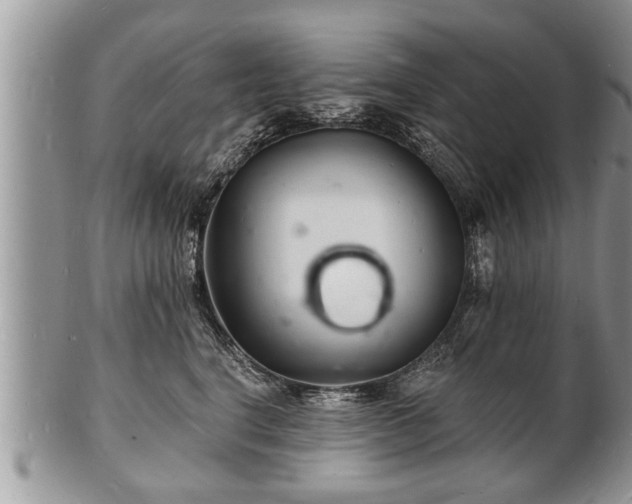 X0000102220664200808011203