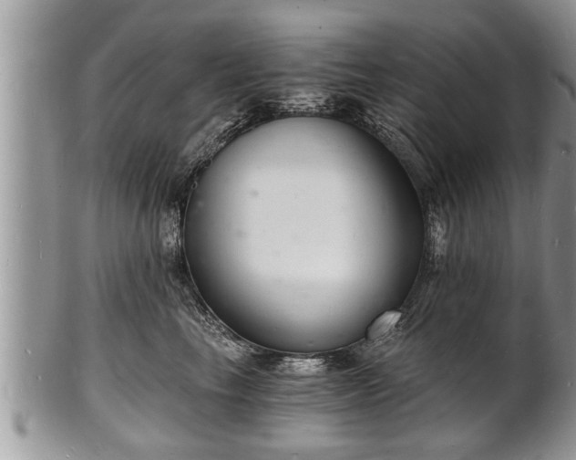 X0000102220665200808011203