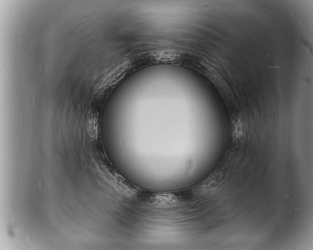 X0000102220666200808011203