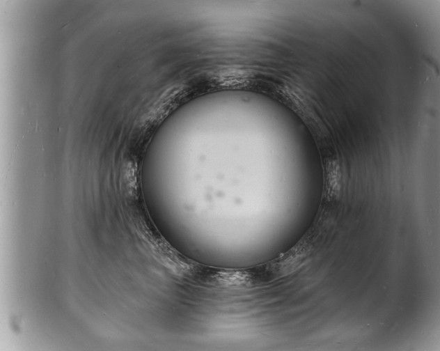 X0000102220667200808011203