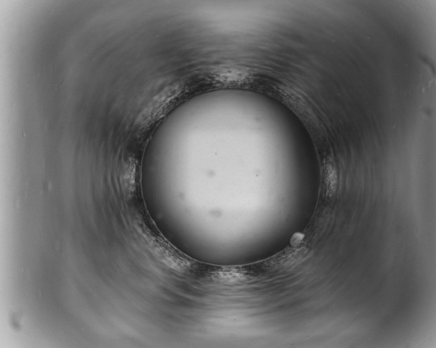 X0000102220668200808011203