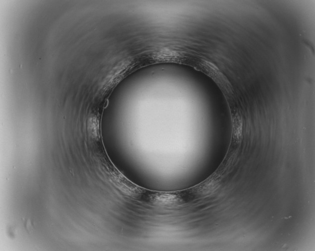 X0000102220669200808011203