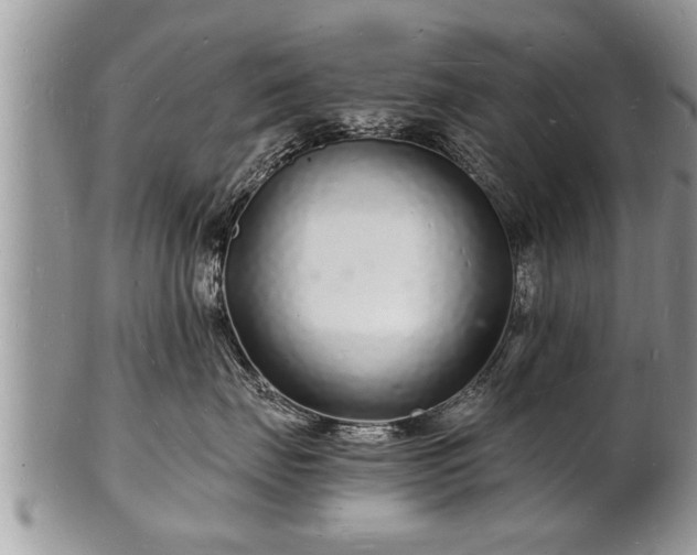 X0000102220671200808011204