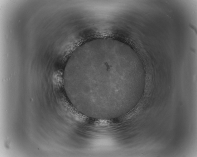 X0000102220672200808011204