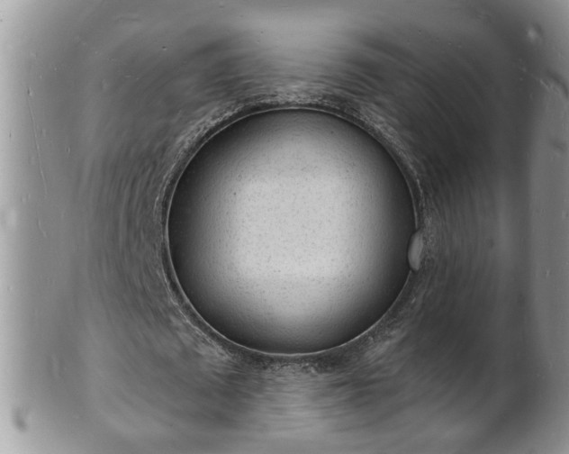 X0000102220673200808011203