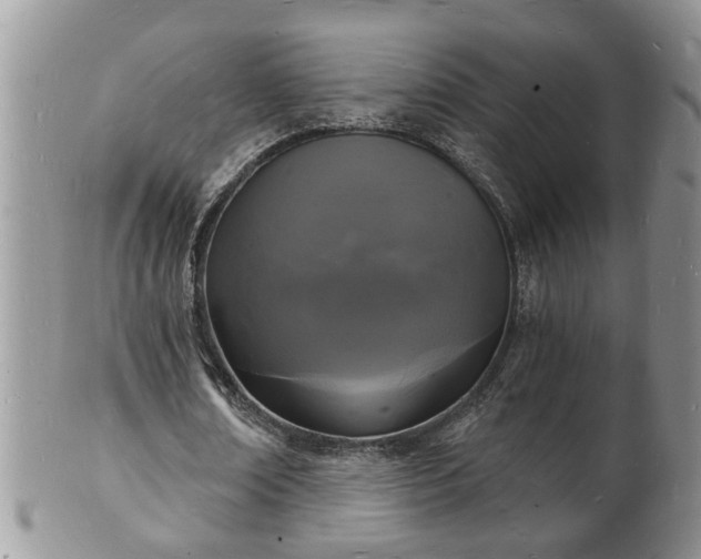 X0000102220674200808011203