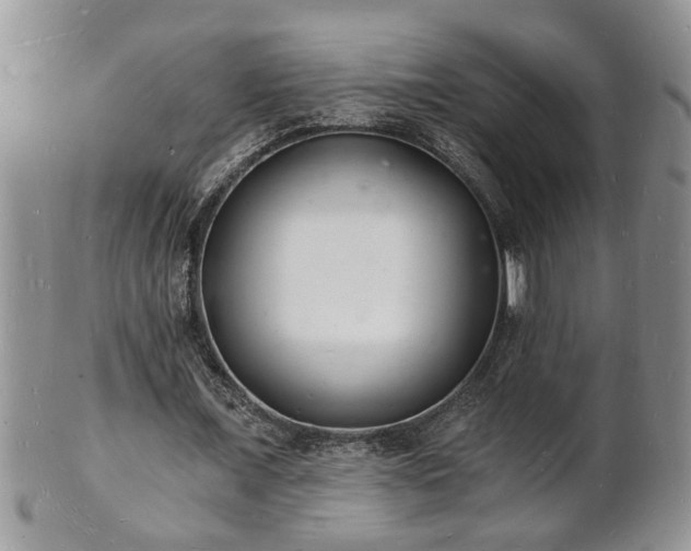 X0000102220675200808011203