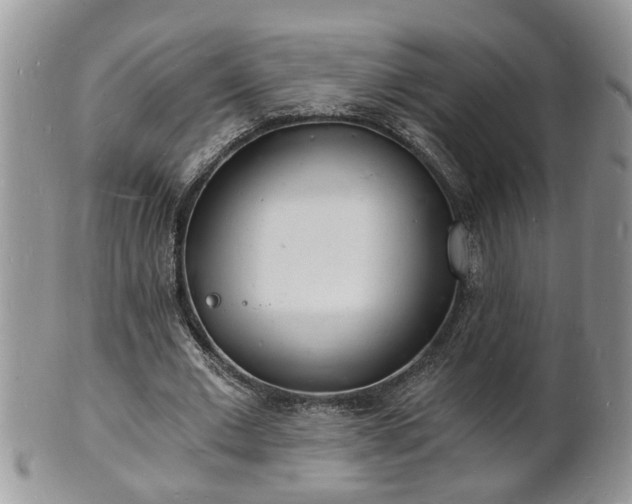 X0000102220677200808011203