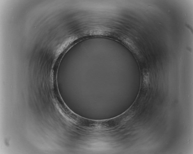 X0000102220678200808011203