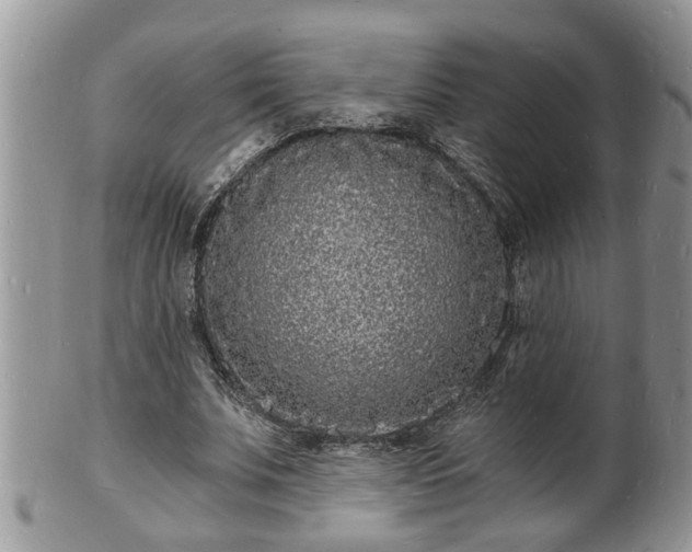 X0000102220679200808011203