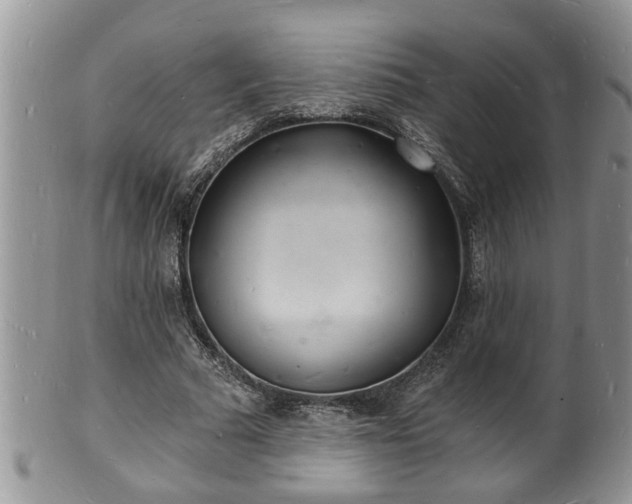 X0000102220681200808011203